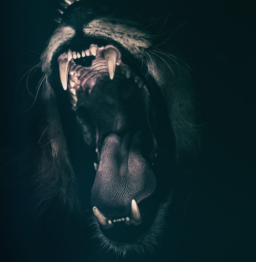 Anger after Traumatic Brain Injury