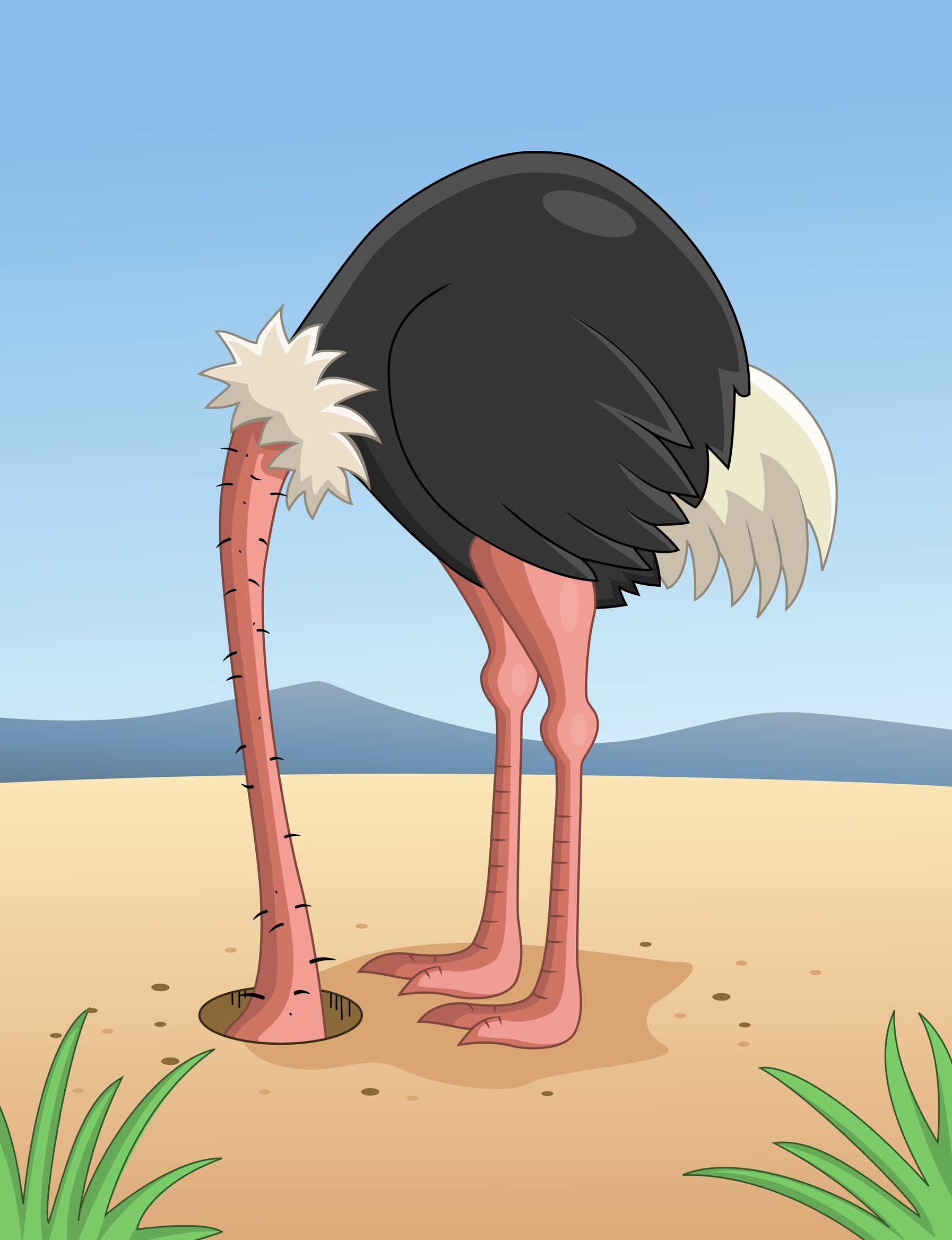Ostrich Hiding Head in Sand